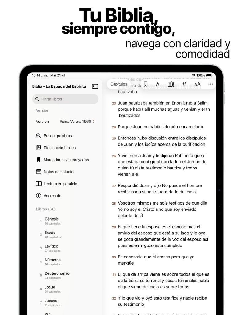 Lectura en iPad