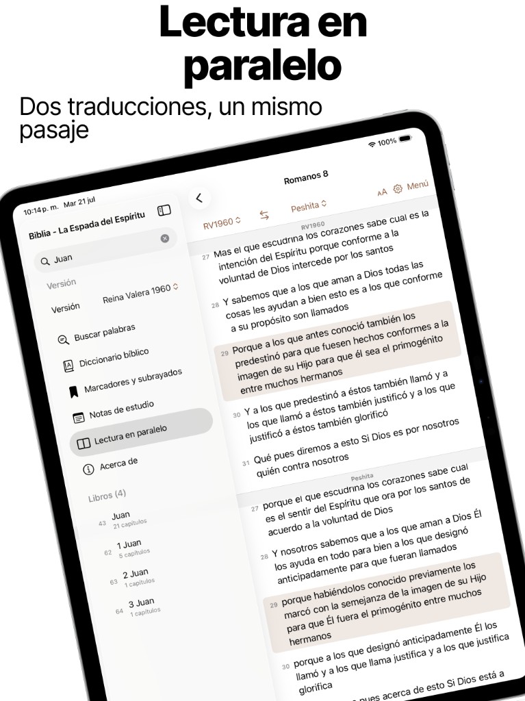 Paralelo en iPad