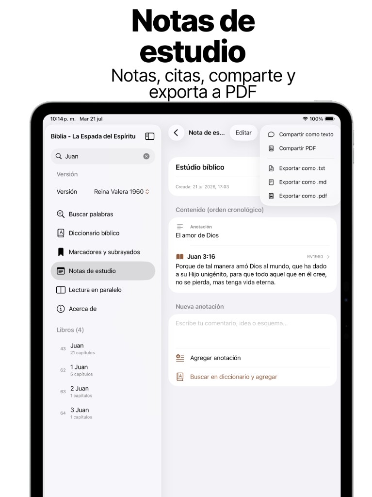 Notas de estudio en iPad